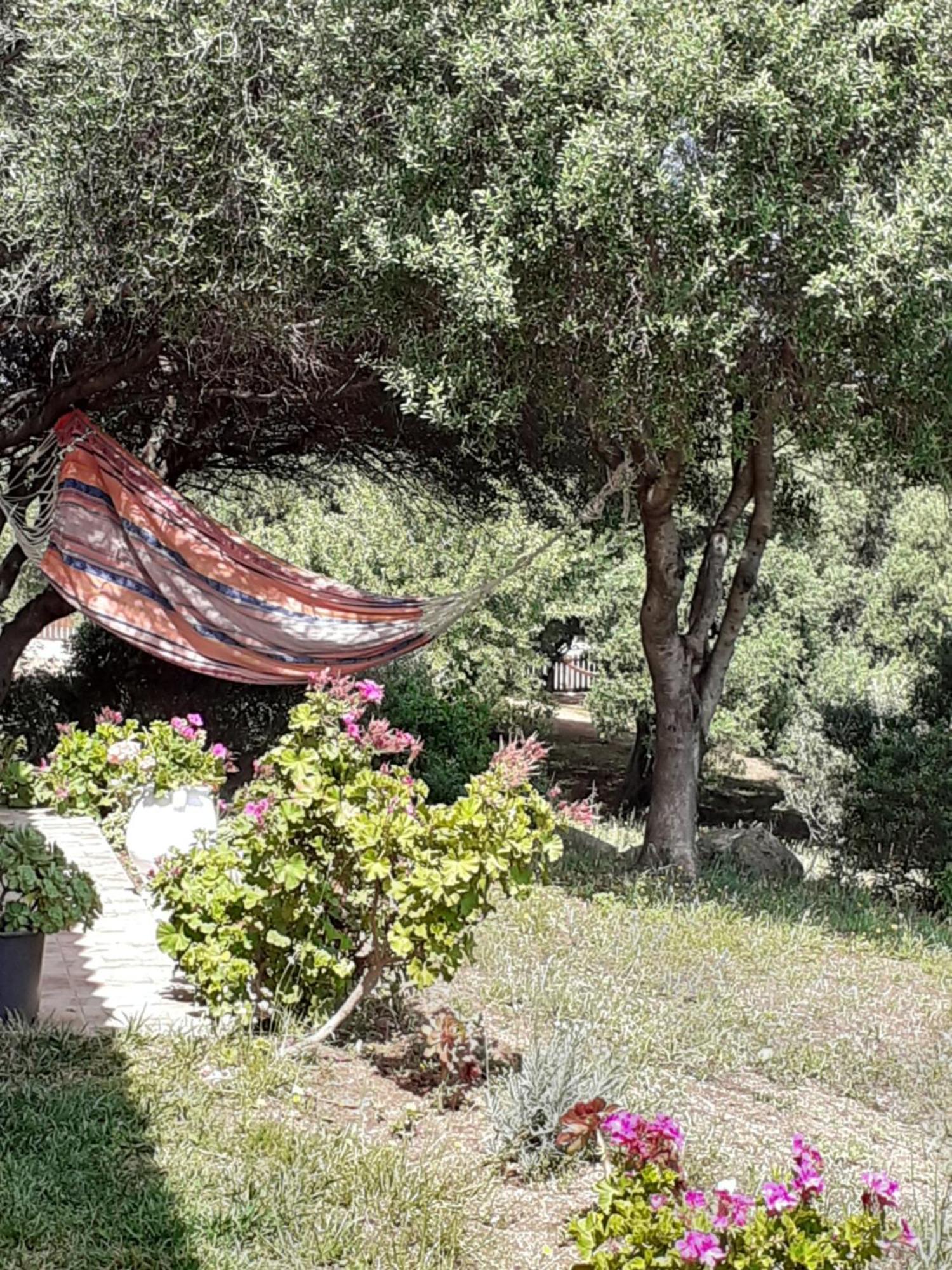 Agriturismo Gli Olivastri Appartamento Corbezzolo Con Piscina E Vista Mare,Climatizzatore,Wifi Aglientu Exterior foto